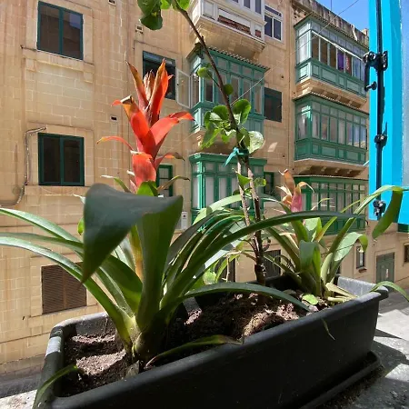 Maltese Town House-2