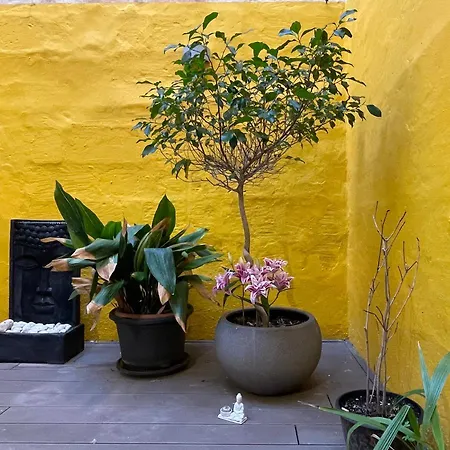 Valletta Collection - Merchant Str Apartment With Large Yard-2