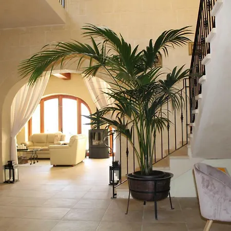 Tonella B&B-3